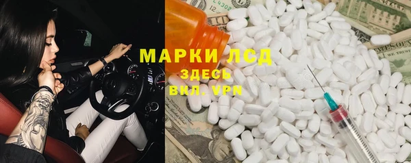 spice Аркадак
