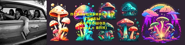 ПСИЛОЦИБИНОВЫЕ ГРИБЫ Арсеньев