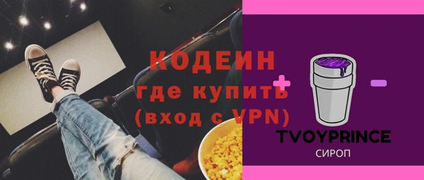 ПСИЛОЦИБИНОВЫЕ ГРИБЫ Арсеньев