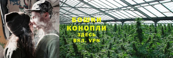 spice Аркадак