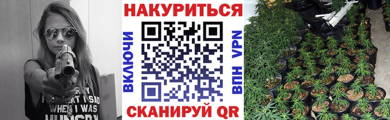 Каннабис семена  Купить где  Алзамай 